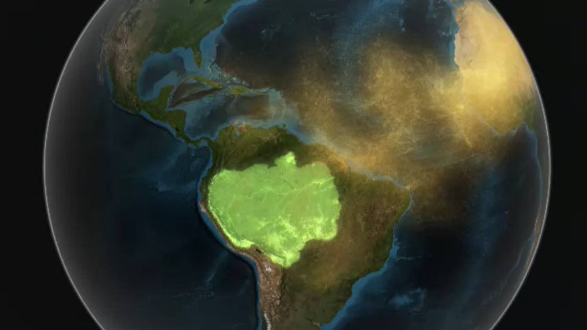 Com 325 metros de altura, a torre ATTO monitora em tempo real a chegada dessas partículas. Além de fertilizar a mata, a poeira é essencial para a formação de nuvens, sendo responsável por 80% das chuvas no início do ano. Fotos: Reprodução/NASA