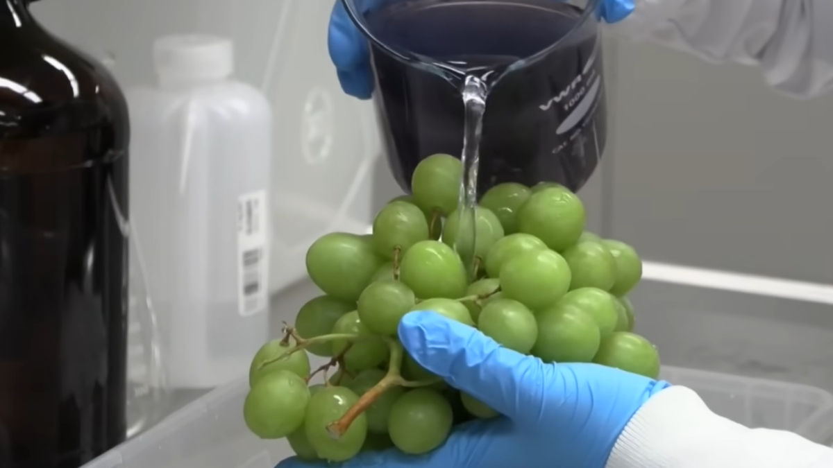 Técnica com ingredientes naturais aumenta a durabilidade das frutas