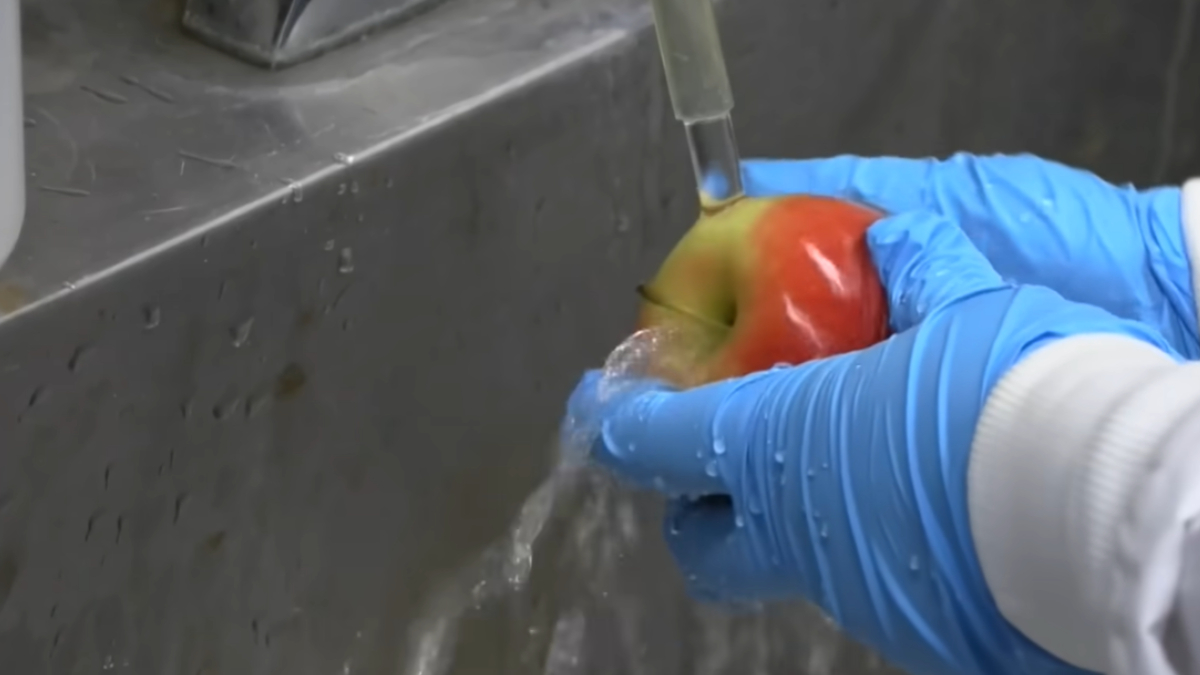 Descoberta científica pode mudar a forma como você conserva alimentos (Reprodução: YouTube)