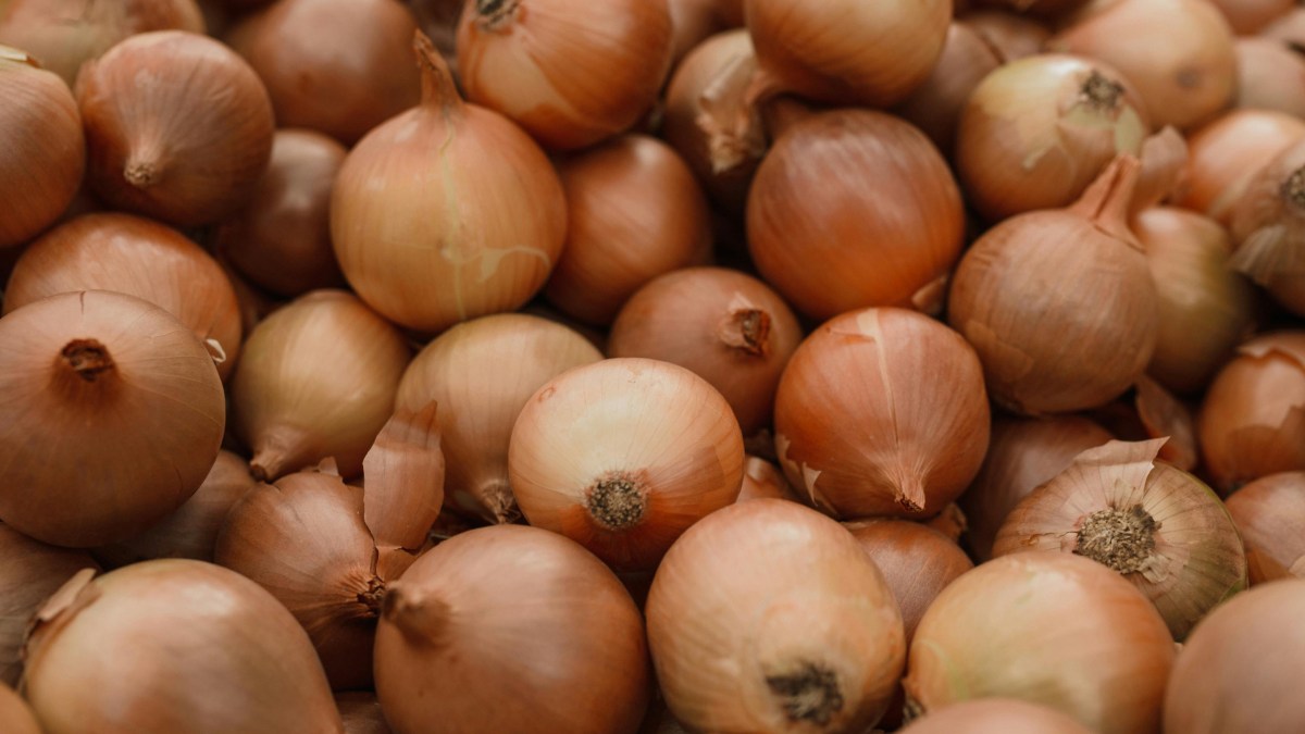 Com a cebola, porém, algumas manchas escuras na casca nem sempre indicam que o alimento precisa ser descartado imediatamente