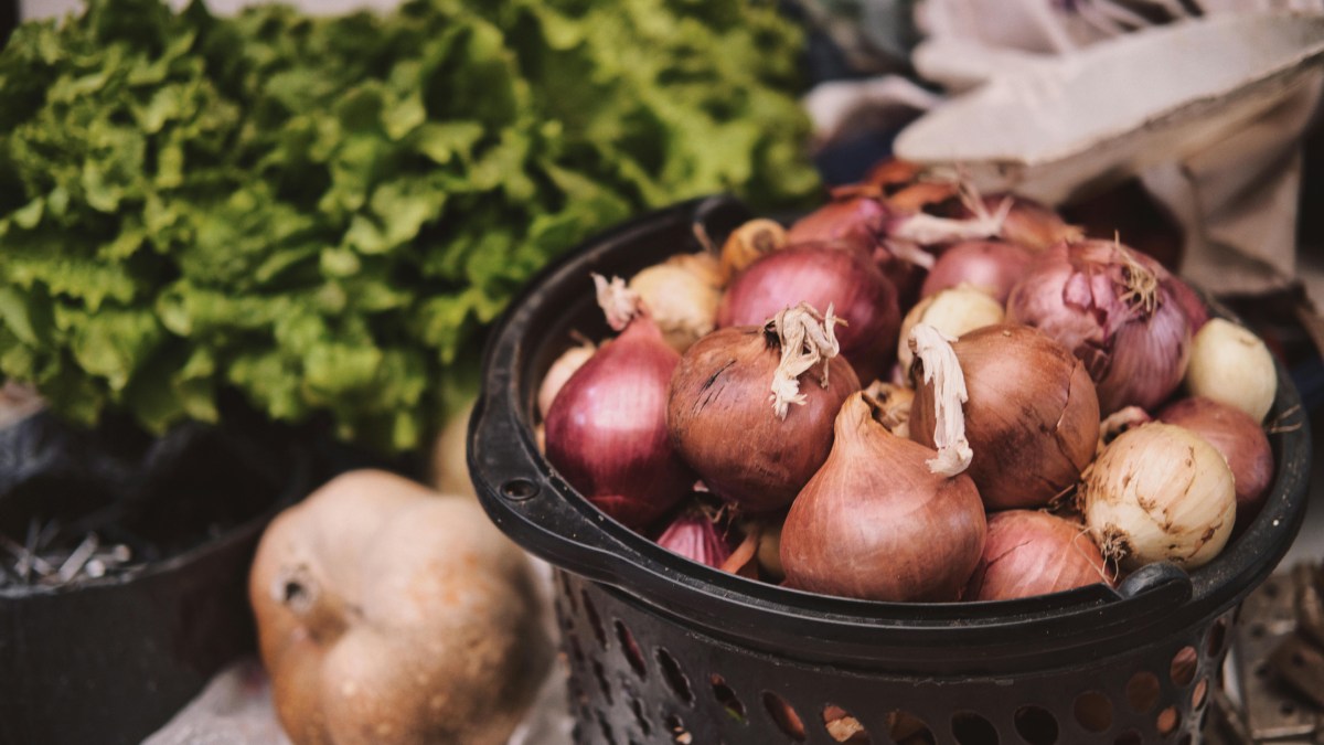 Muita gente evita consumir alimentos com manchas ou alterações na aparência por associar esses sinais à presença de fungos e bactérias prejudiciais à saúde