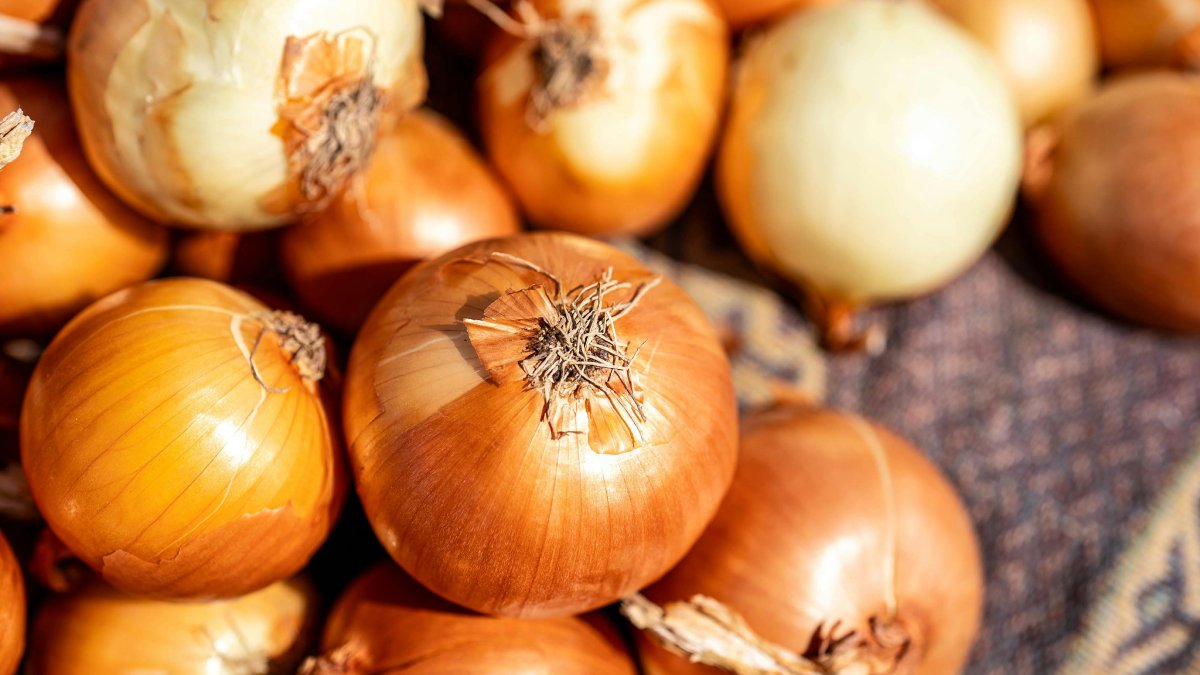 Em vários casos, o cuidado faz sentido, principalmente em alimentos mais úmidos e macios, que estragam com maior facilidade