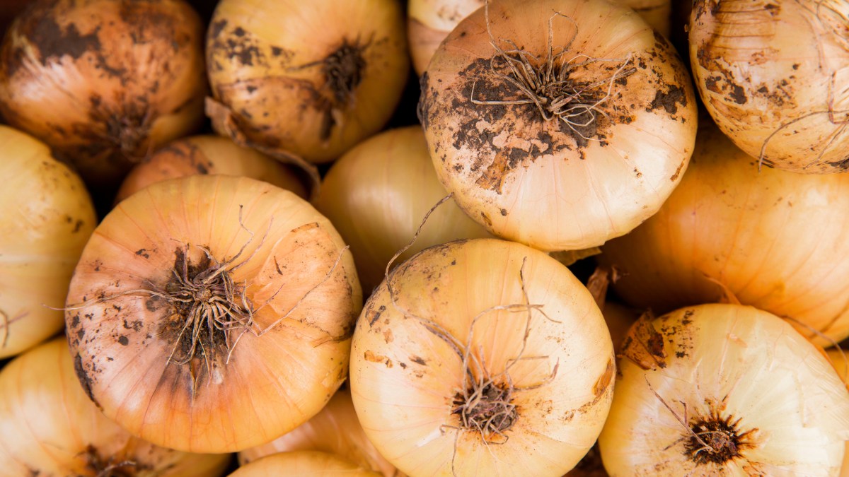 Se o mofo estiver apenas na casca e em pouca quantidade, tanto Ana Duarte quanto o United States Department of Agriculture afirmam que pequenas áreas afetadas podem ser removidas em frutas e vegetais firmes e com baixa umidade, já que o mofo tem mais dificuldade para penetrar nesses alimentos