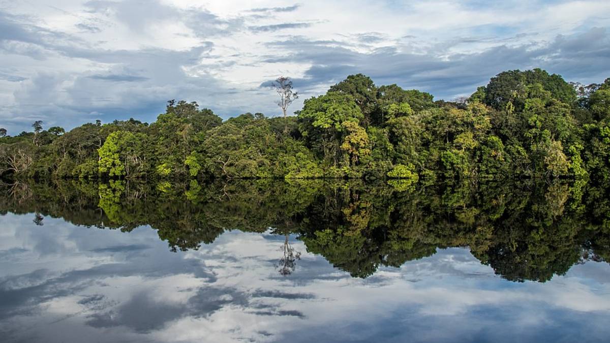 Uma das maiores reservas de floresta tropical protegida do mundo, o Jaú abriga rios, fauna rara e paisagens amazônicas impressionantes