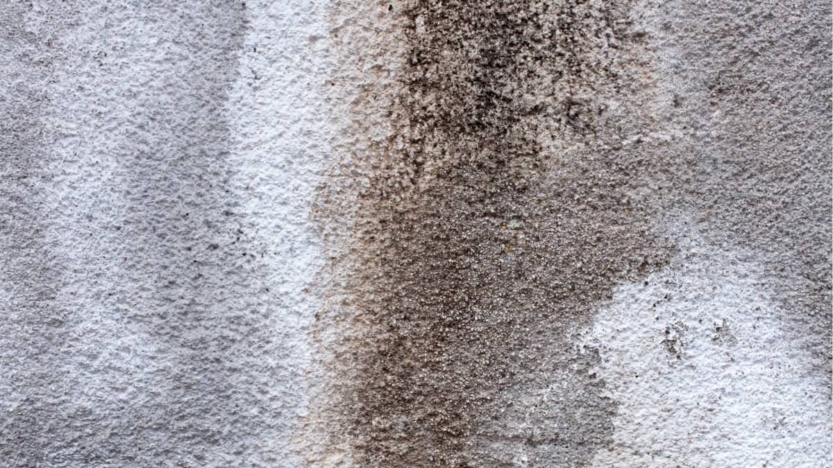 A mistura começa a agir justamente onde a sujeira se acumula