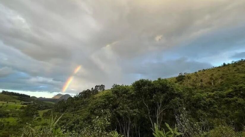 Local abriga mais de 20 mil espécies nativas plantadas, como jequitibá e pau-ferro.
