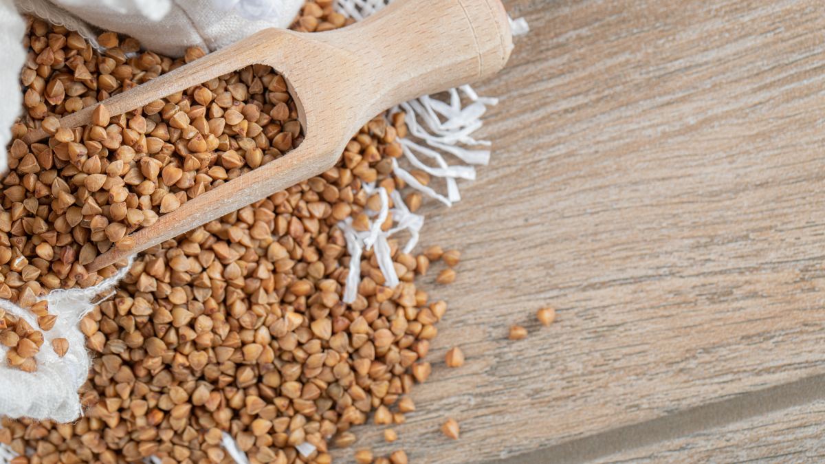 Além do uso culinário, o interesse pela planta aumentou nos últimos anos por causa da presença de fibras, proteínas, ferro e compostos naturais que atuam no organismo de forma semelhante a hormônios
