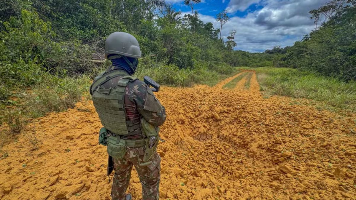 Diferença entre dados oficiais e realidade de campo revela ponto cego na fiscalização do estado (Foto: Divulgação)