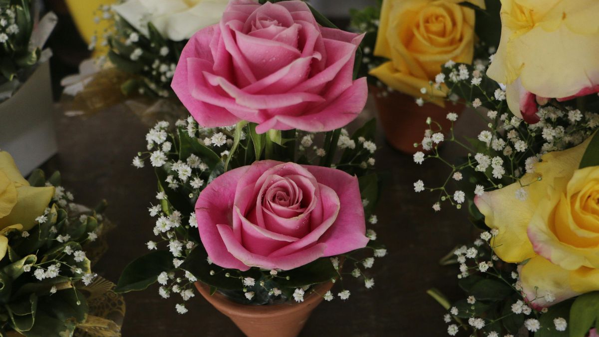 A alta de 12% nas flores naturais contribui para a percepção de um Dia das Mães mais caro para o bolso brasileiro (Foto: Marcelo joaquim, Pexels)