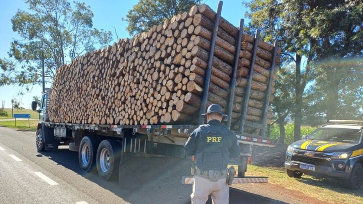 Território Seguro: governo aposta em inteligência integrada e presença permanente do Estado para frear o avanço do crime organizado na Amazônia (Foto: PRF)