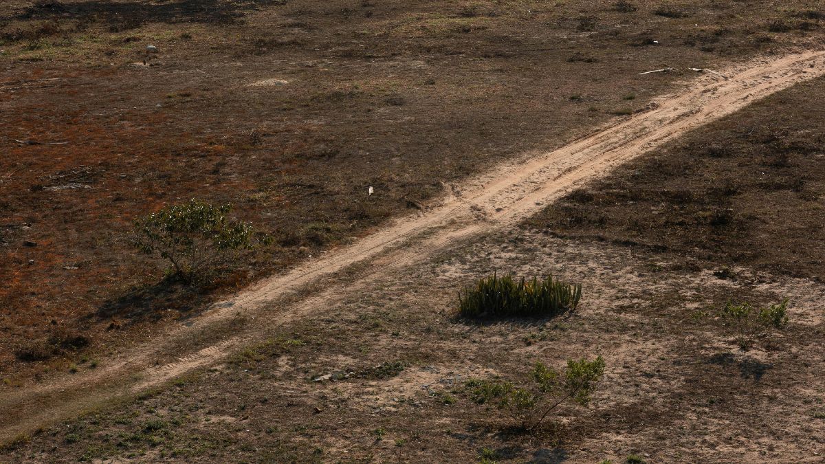 O avanço da malha aérea clandestina está diretamente ligado ao aumento do desmatamento em estados como Mato Grosso e Pará (Foto: Rafaalem, Pexels)