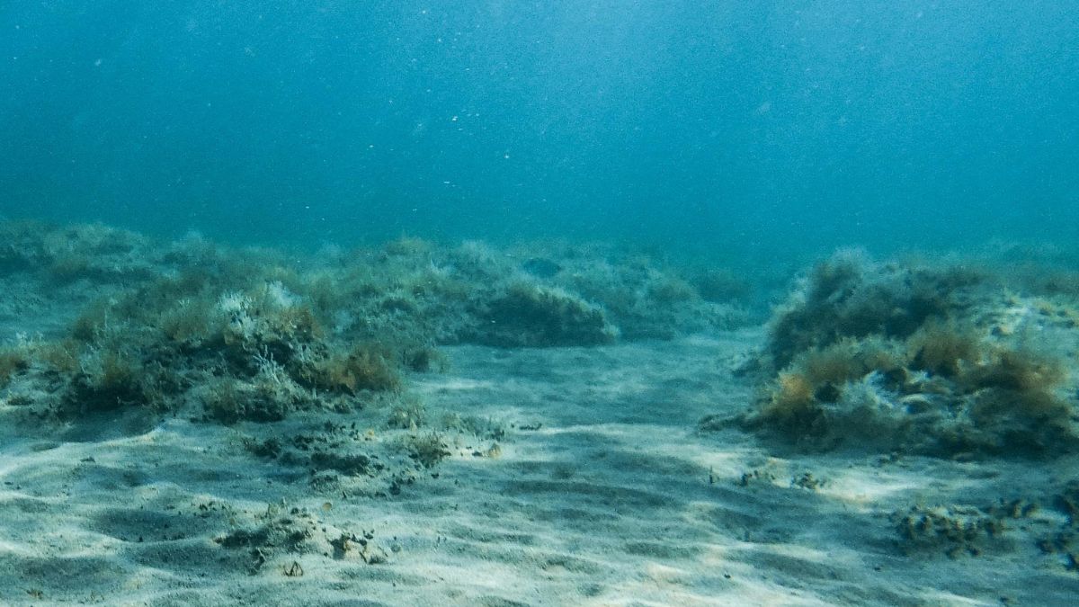 Através de tecnologia de alta resolução, cientistas conseguem enxergar fissuras, zonas de separação e deformações escondidas sob as águas do oceano. Foto: Pexels