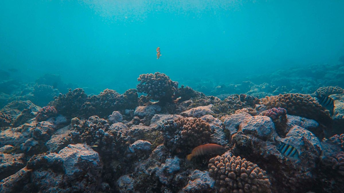 Em um processo extremamente lento que ocorre ao longo de milhões de anos, a fragmentação das placas tectônicas molda a dinâmica geológica interna da Terra. Foto: Pexels