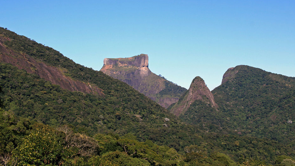 1°- Maior símbolo de natureza urbana do Brasil, o Parque Nacional da Tijuca reúne trilhas, cachoeiras e mirantes famosos no coração do Rio de Janeiro (Foto: Halley Pacheco de Oliveira/ Wikimedia Commons)