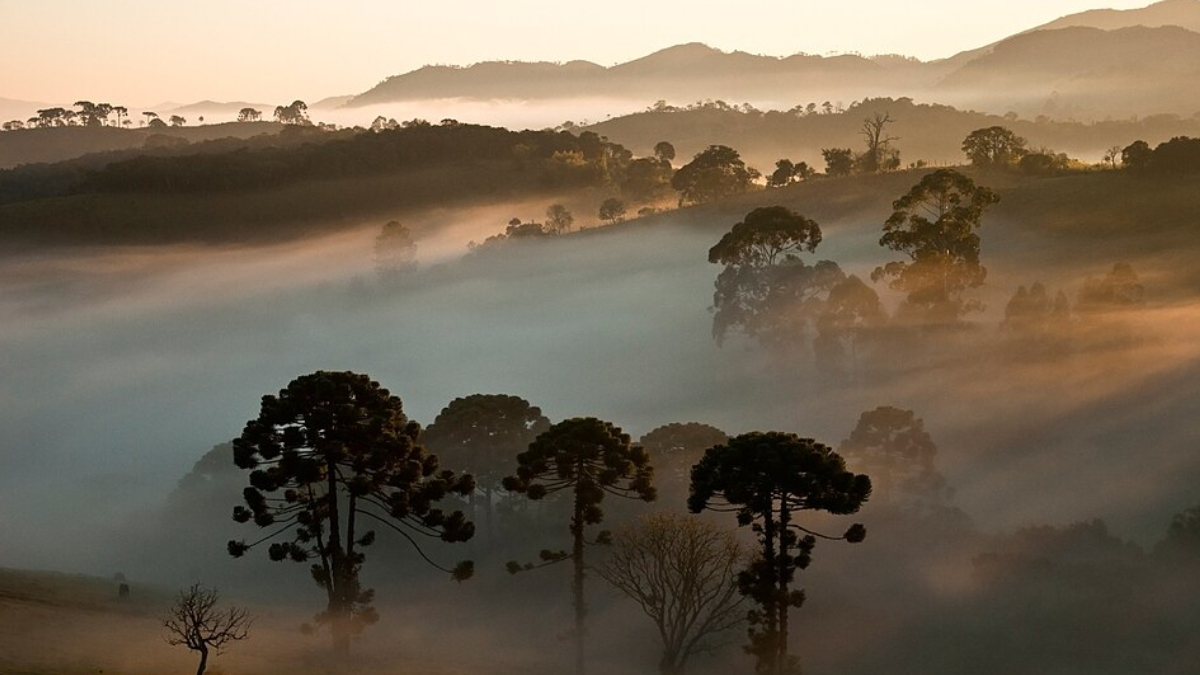 5°- Entre montanhas, cachoeiras e trechos de Mata Atlântica preservada, o Parque Nacional da Serra da Bocaina atrai aventureiros e amantes do ecoturismo (Foto: Heris Luiz Cordeiro Rocha/ Wikimedia Commons)