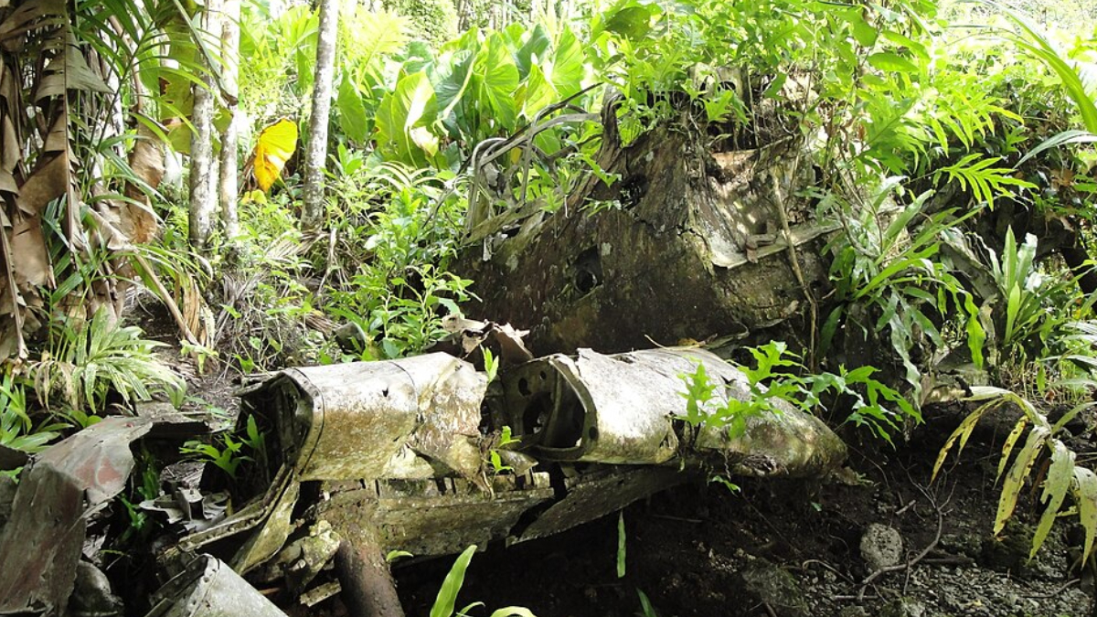 Entre cavernas, tanques abandonados e recifes de coral, Peleliu revela um lado pouco conhecido da história da guerra