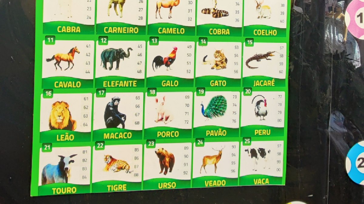 A genialidade da gíria reside na forma como os torcedores categorizavam os valores arrecadados. Para criar uma codificação rápida e bem-humorada, os fãs buscaram inspiração em outra grande mania popular daquela década: o jogo do bicho. (Wikimedia Commons)