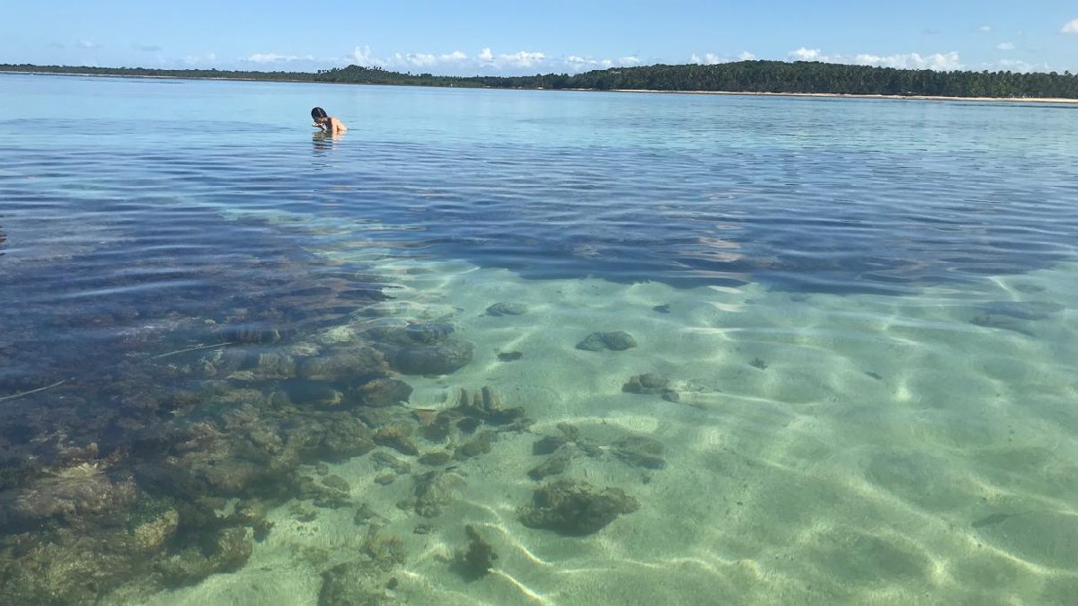 O lugar tem faixa extensa de areia clara e costuma atrair visitantes interessados em mergulho e snorkel