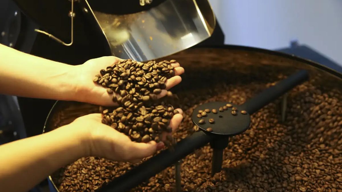 A necessidade de manter os sistemas artificiais ligados por longos períodos inflacionou as contas operacionais das propriedades agrícolas. Marcello Casal Jr./Agência Brasil