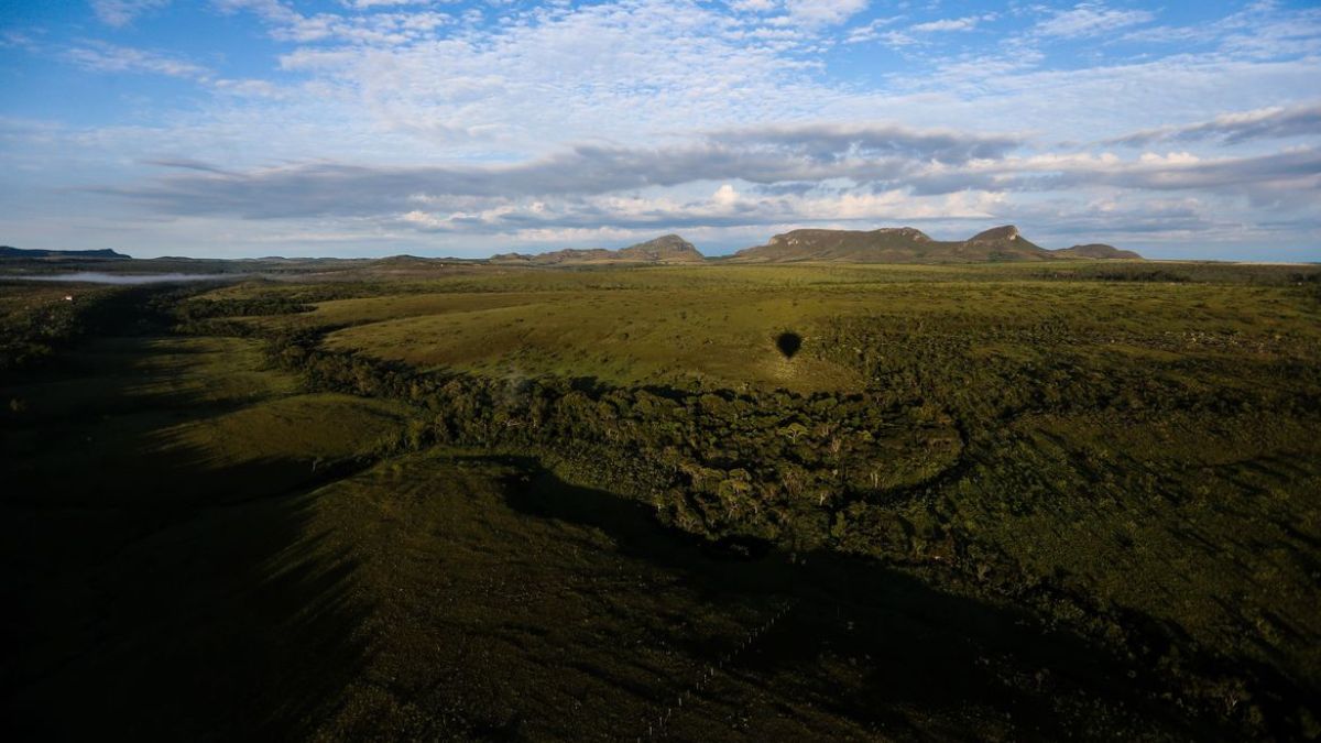 Vista aérea da região de Pouso Alto, onde a revisão do Plano de Manejo pode alterar as regras de ocupação e exploração econômica do Cerrado. Marcelo Camargo/Agência Brasil