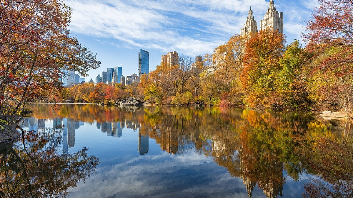 Central Park, em Nova Iorque, é 8 vezes maior que o Vaticano 