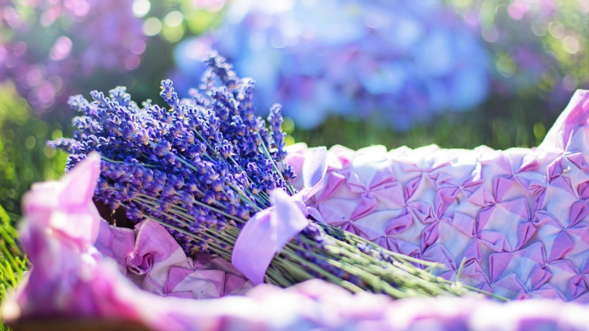 Na aromaterapia, algumas gotas em difusores ajudam no relaxamento rápido em momentos de estresse (Fotos: Pexels)