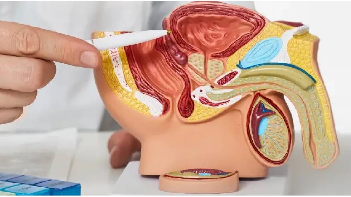 O diagnóstico precoce aumenta significativamente as chances de cura da doença. Foto: Divulgação
