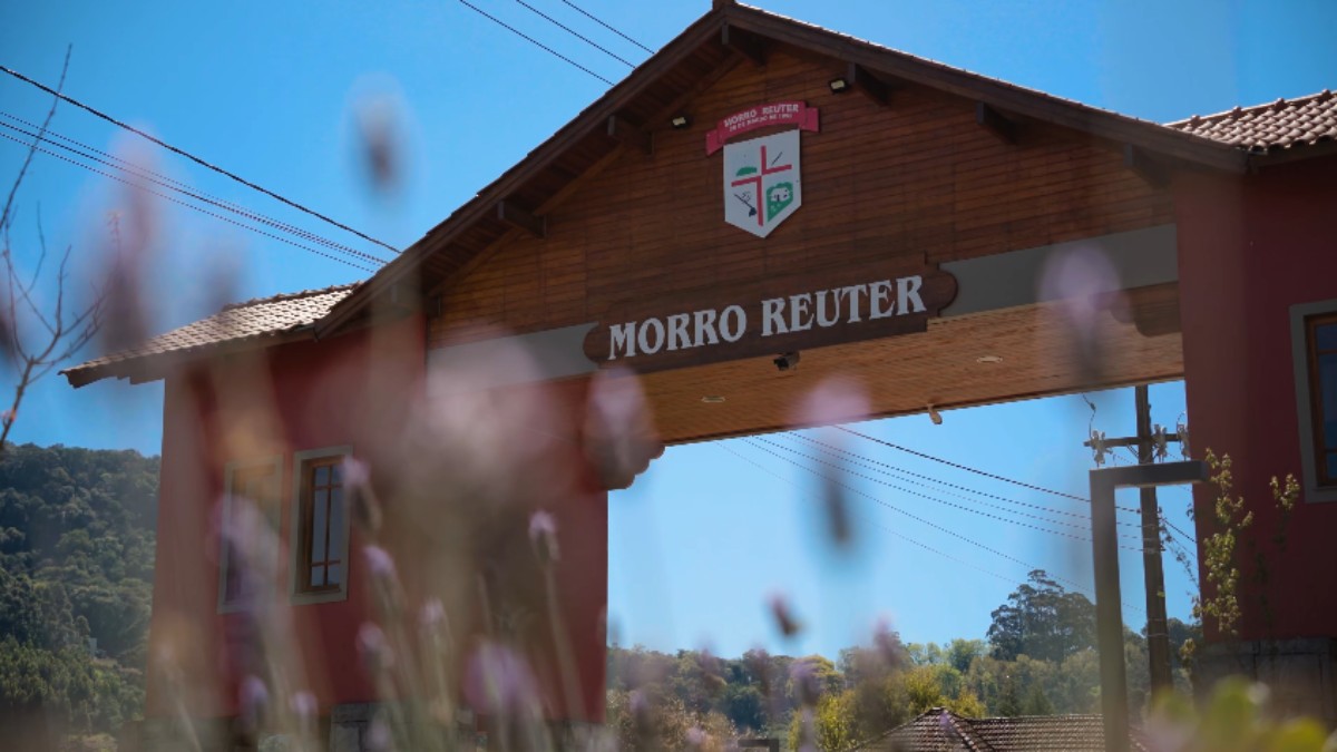 Conhecida como a 'Capital Nacional das Lavandas', Morro Reuter (RS) é a maior produtora da planta no Brasil