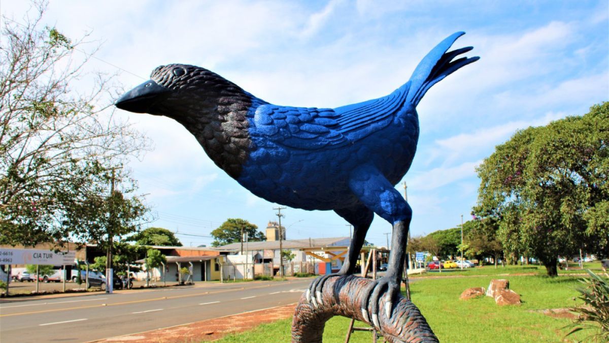 Localizada no Paraná, Arapongas é amplamente conhecida como a 'Cidade dos Passarinhos'