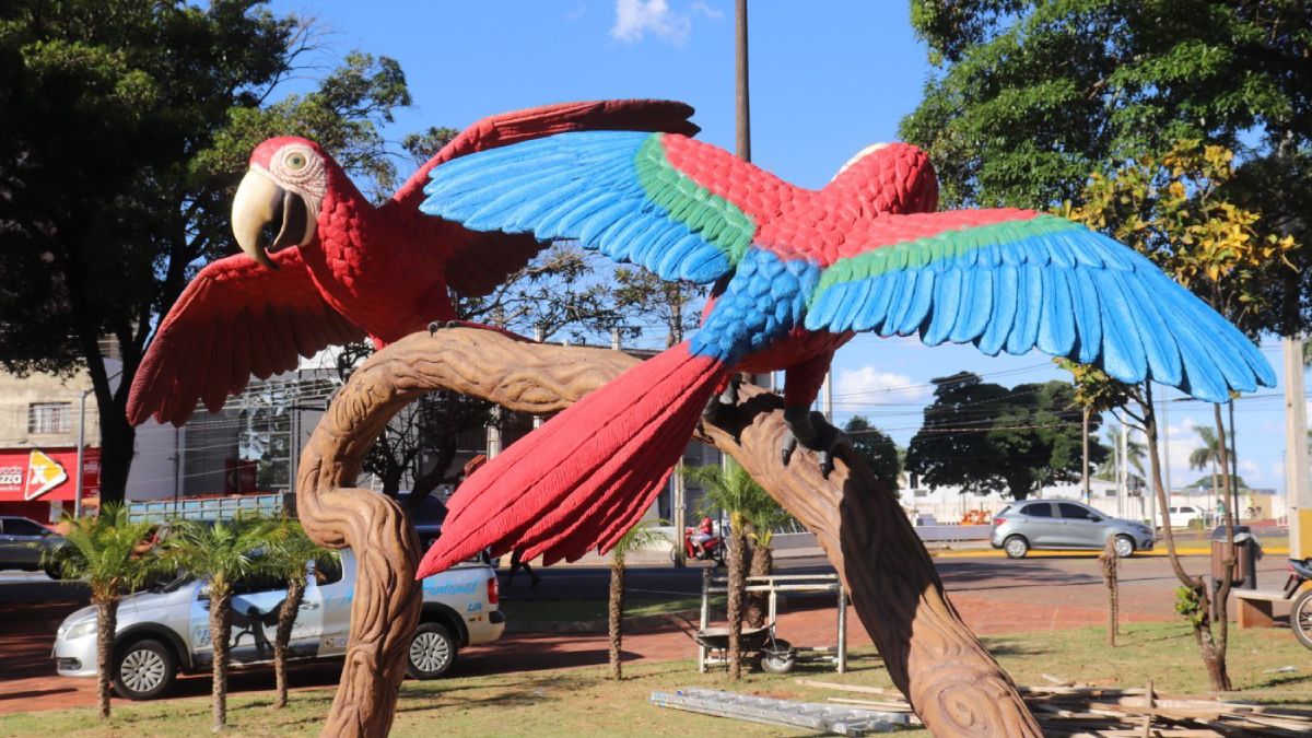 O nome da cidade homenageia a ave araponga, muito presente naquela região à época e conhecida pelo canto alto que lembra batidas metálicas