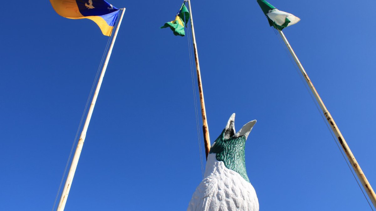 Segundo o portal oficial de turismo do Paraná, a cidade é a única do Brasil onde todas as ruas receberam nomes de pássaros