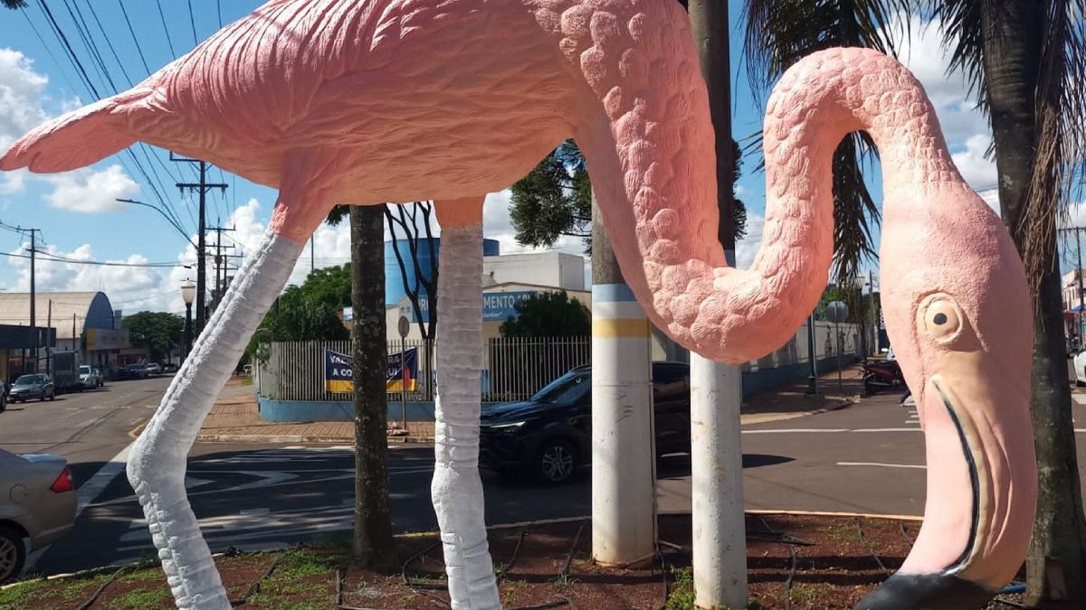 Após nomearem a cidade, os fundadores decidiram que as ruas também receberiam nomes de aves para facilitar a identificação e criar uma característica própria para o município