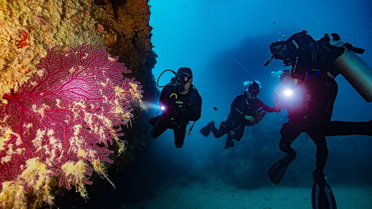 Entre os fenômenos naturais mais conhecidos do parque estão os chapeirões, formações de coral que crescem verticalmente em formato semelhante a cogumelos (Foto: RobertoCostaPinto/Wikimedia Commons)