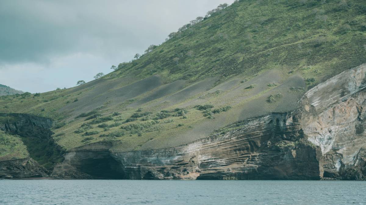 Localizado a cerca de 1.000 km da costa do Equador, o arquipélago de Galápagos e suas 13 ilhas principais continuam sendo um dos refúgios de biodiversidade mais isolados do planeta. O local ganhou fama mundial em 1835 após a visita do naturalista Charles Darwin. (Foto: Pexels)