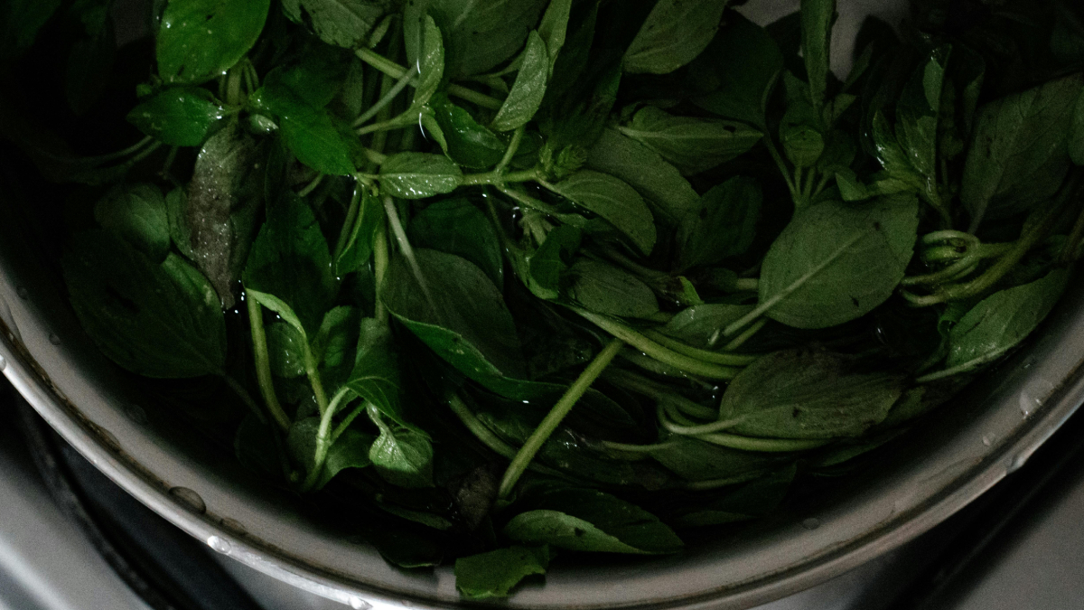 Além de saudável, a rúcula chama atenção pela praticidade no cultivo doméstico (Foto: Pexels)