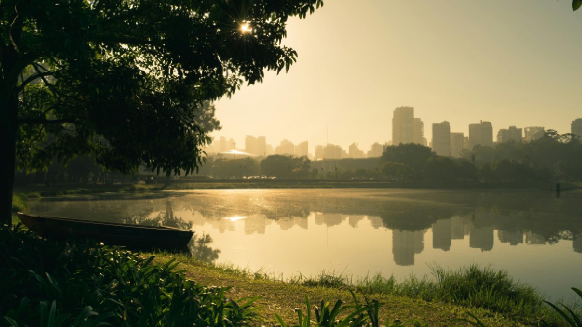 . Caminhos e alamedas atraem visitantes para atividades físicas e momentos de descanso. Foto: Pexels