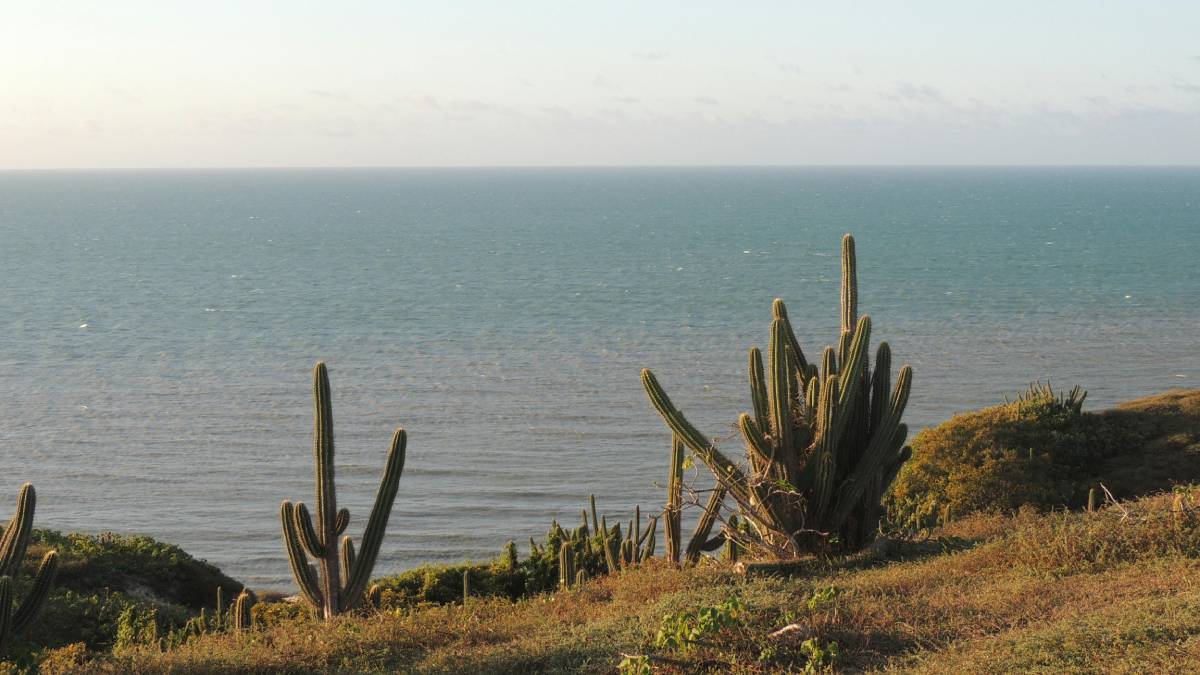O vento constante molda as dunas e muda a paisagem todos os dias, tornando cada visita única (Fotos: Pexels)