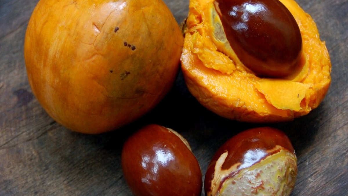 Por ser uma fruta pouco ácida e naturalmente doce, ela reduz a necessidade de açúcar em receitas de sobremesas. Foto: Wikimedia Commons