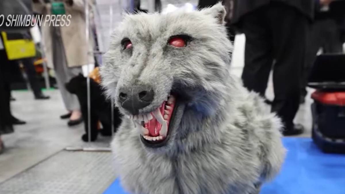 Lobo robô é usado para assustar ursos no Japão