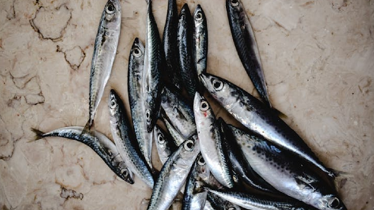 Para quem quer variar o consumo, as opções vão desde a clássica pizza de sardinha até receitas na panela de pressão que preservam os nutriente - (Eva Bronzini/Pexels)