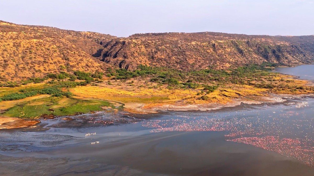Localizado na Tanzânia, o Lago Natron é conhecido por suas águas que parecem transformar seres vivos em estátuas. Foto: Reprodução/Youtube