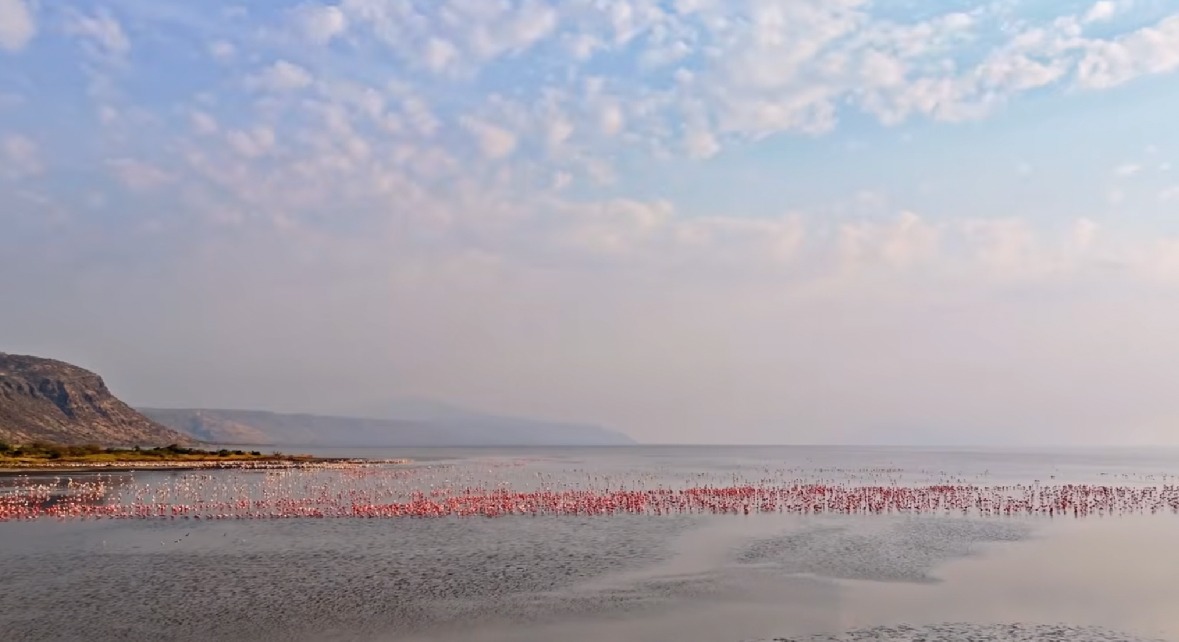 Com um pH que pode chegar a 12, a água do lago é tão corrosiva quanto a amônia, tornando o ambiente hostil para a maioria das espécies. Foto: Reprodução/Youtube