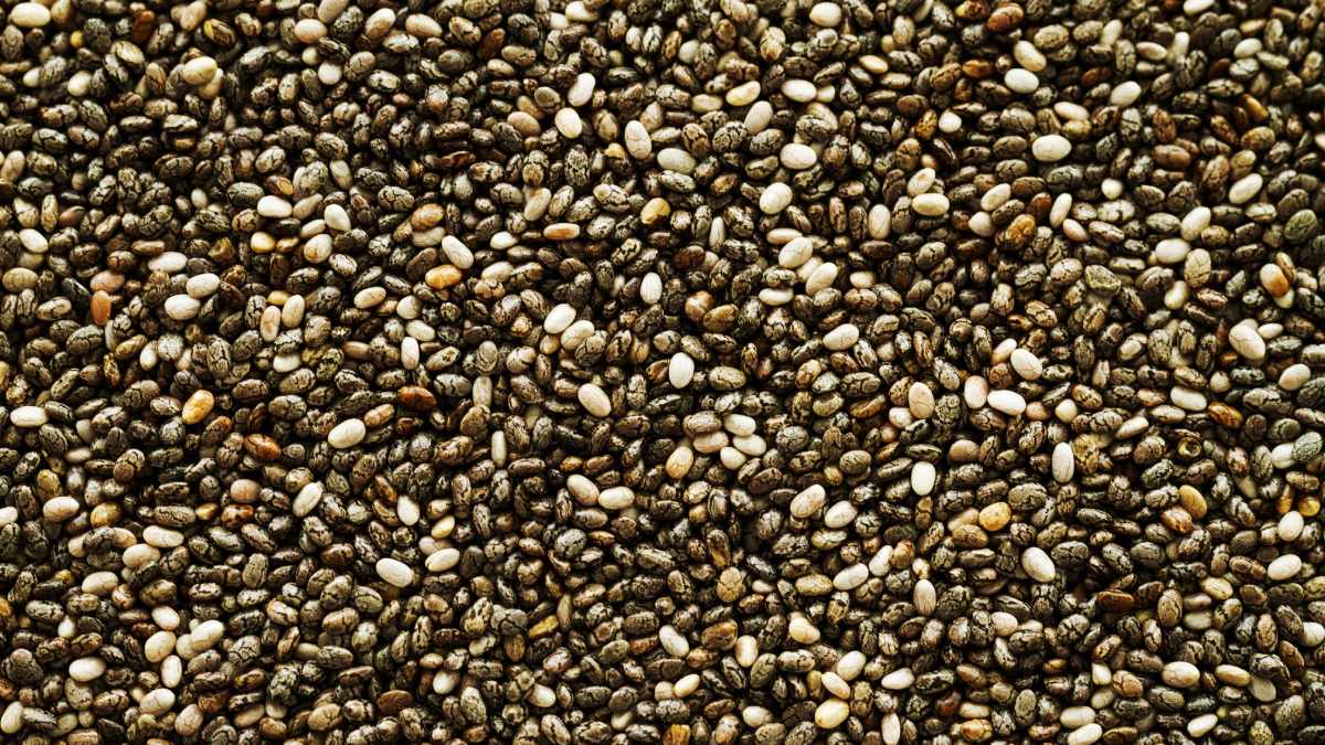 Ela pertence à família da menta e pode ser encontrada em supermercados, feiras e lojas de produtos naturais no Brasil