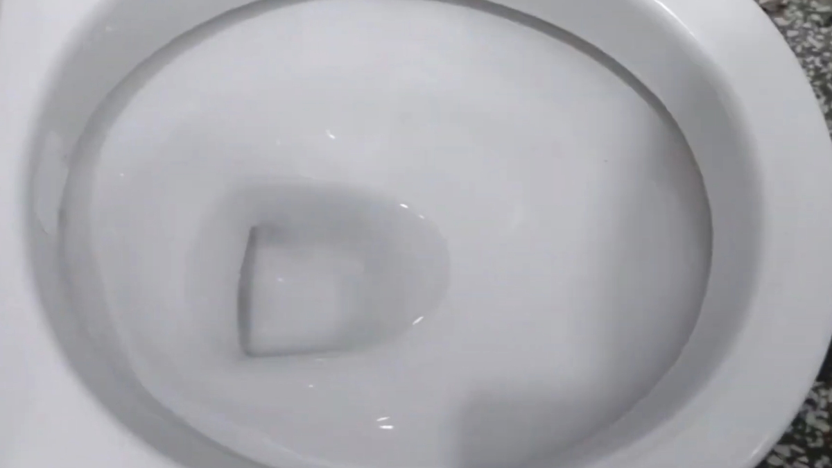 Por ser um material orgânico de granulação fina, a borra se dissolve facilmente com a água da descarga. - (Fotos: Reprodução/YouTube)