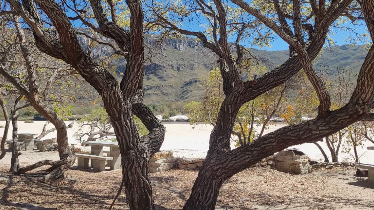 Muitas possuem piscinas naturais e áreas apropriadas para descanso