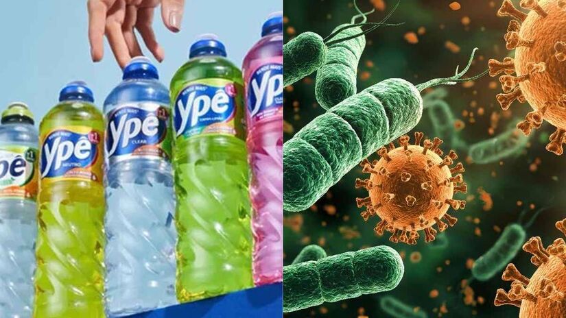 O microrganismo costuma representar maior risco para pessoas imunossuprimidas, como pacientes em tratamento contra câncer, transplantados e pessoas com doenças que afetam o sistema imunológico. Foto: Reprodução