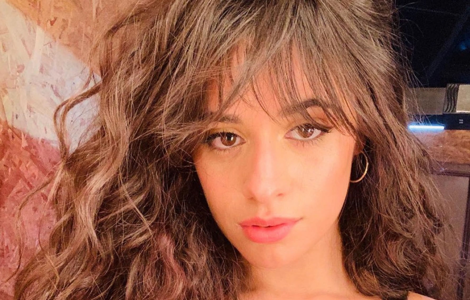 Camila Cabello (foto) se apresentará pela primeira vez no Rock in Rio realizado no Brasil Macaque in the trees