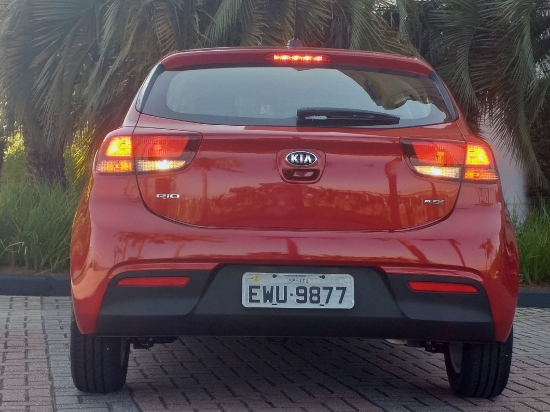 A traseira do Kia Rio tem aspecto dinâmico e traz lanternas finas e mais elegantes; a distância entre-eixos é de 2,58 metros Macaque in the trees