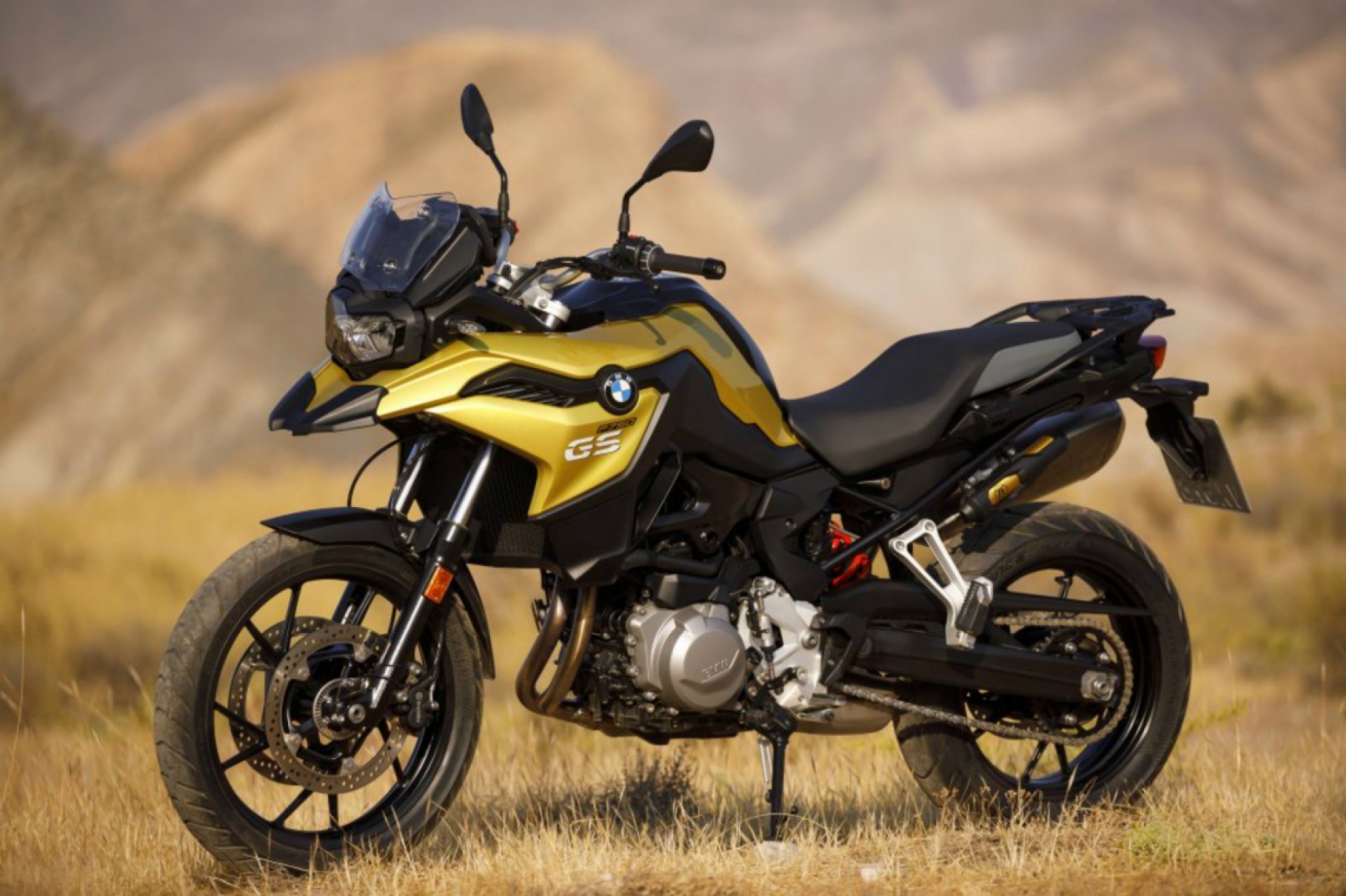 A BMW F 750 GS tem luz diurna que garante maior visibilidade no trânsito e o banco conforto, mais largo, bom para longas distâncias Macaque in the trees