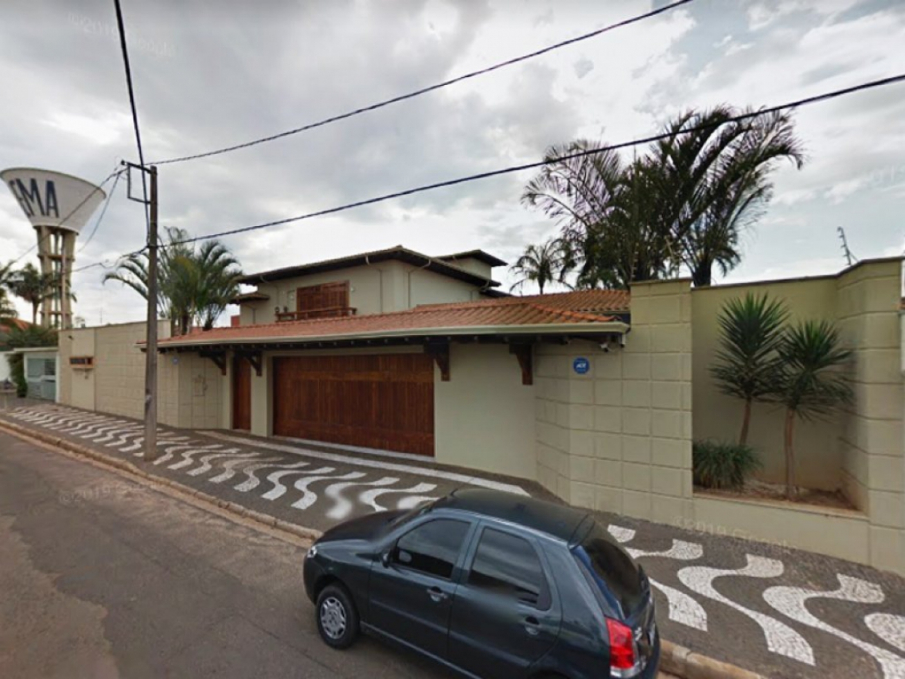 No leilão, os lances iniciais variam de R$ 105 mil a R$ 2,1 milhões Macaque in the trees
